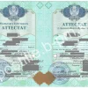 Истребование аттестата Казахстана